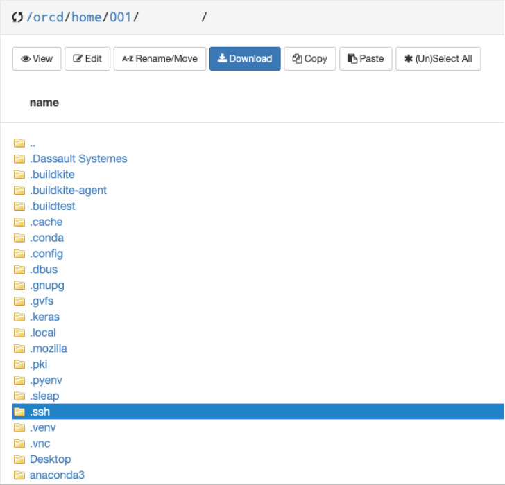 .ssh File Location